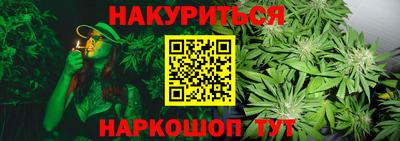 jwh Будённовск